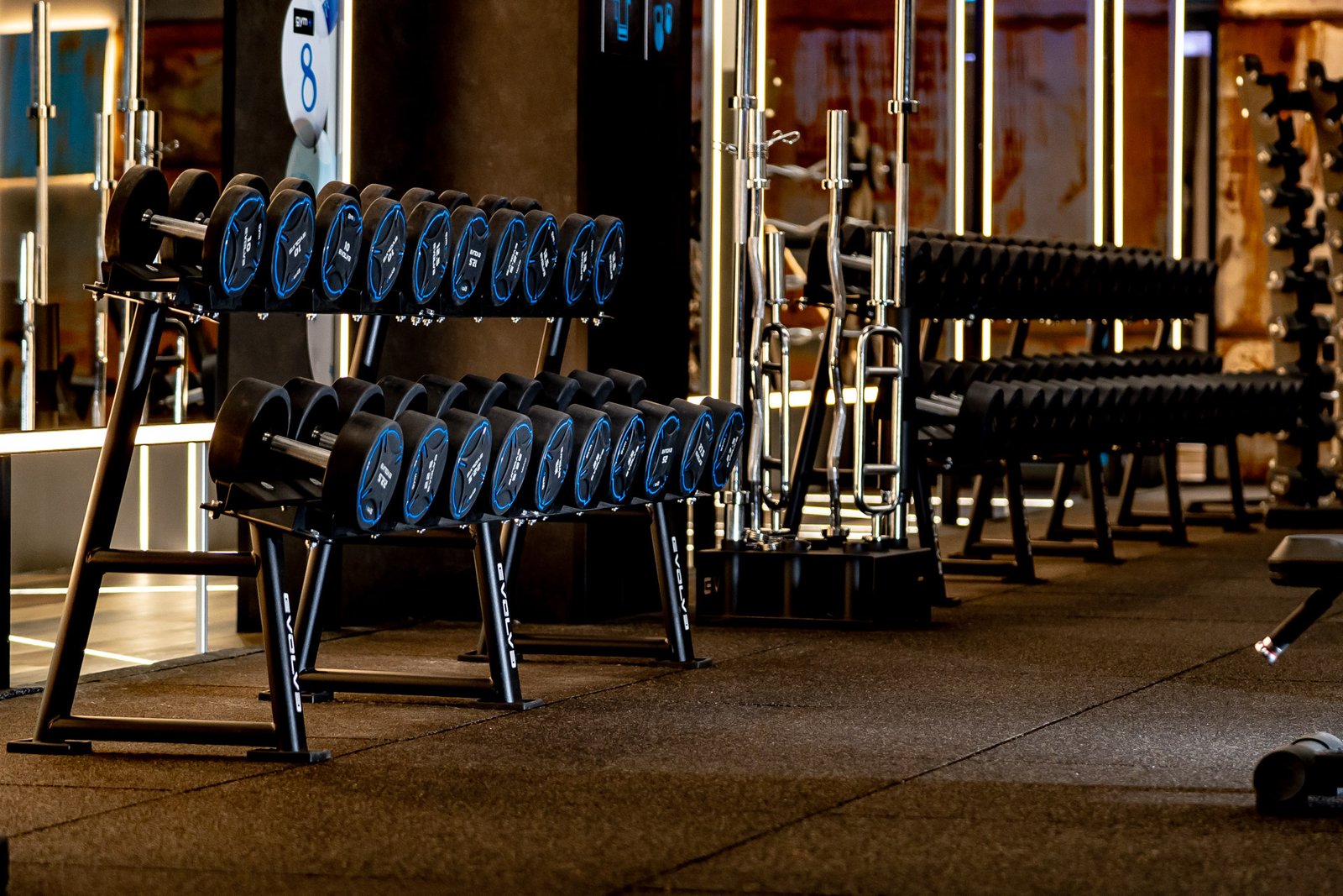 Evolve TPU Urethane Dumbbell Set 10-60 kg (DS-TP)