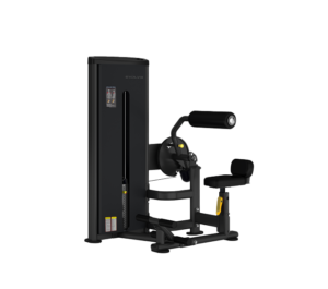 Evolve Econ Series Dual Function Selectorized Abdominal / Back Extension (EC-009)