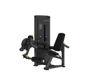 Evolve Econ Series Dual Function Selectorized Leg Extension / Curl (EC-037)