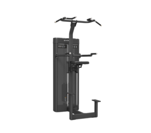 Evolve Prime Series Selectorized Weight Assisted Chin / Dip (PR-214)